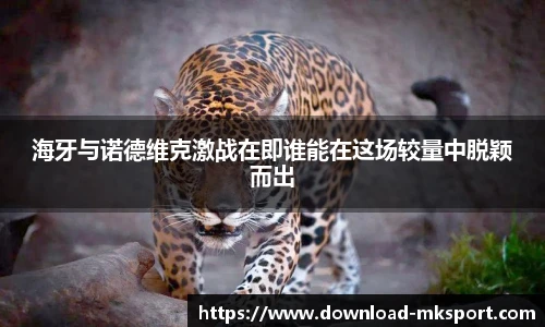 海牙与诺德维克激战在即谁能在这场较量中脱颖而出